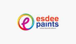 The Esdee Paints Case Study